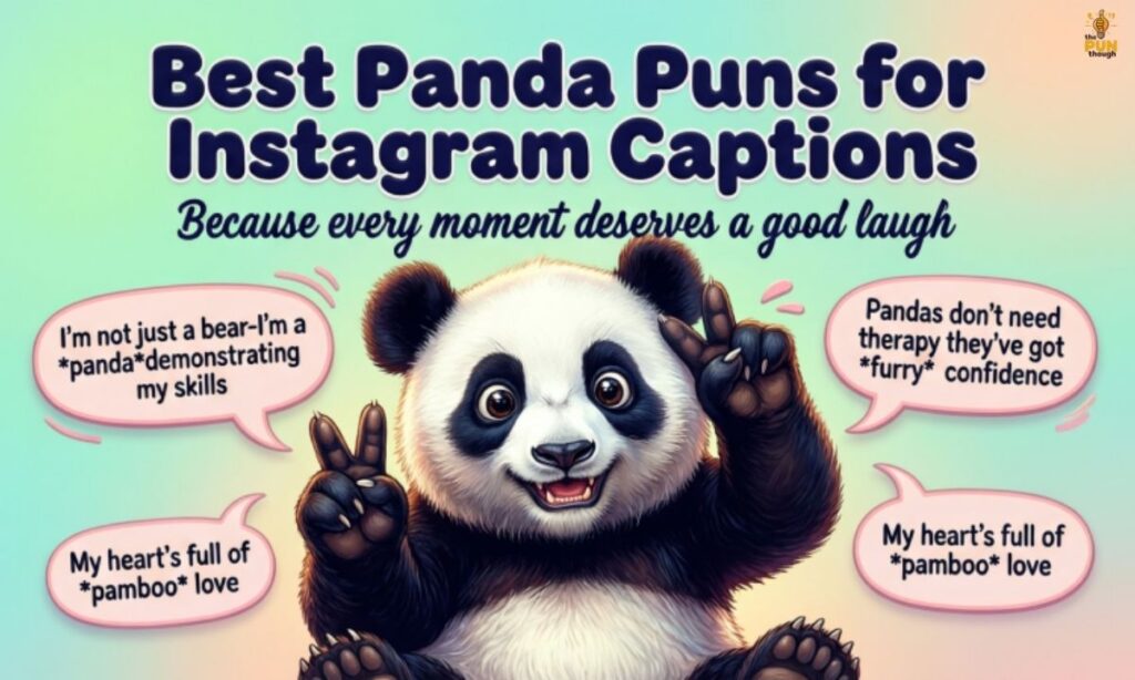 Best Panda Puns for Instagram Captions