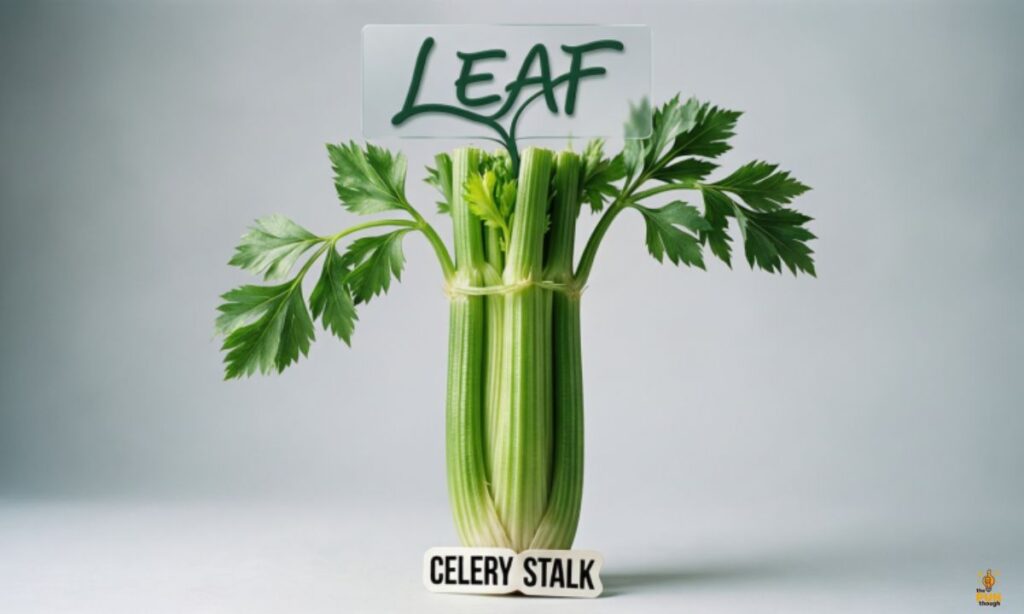 Celery Stalk and Leaf Wordplay