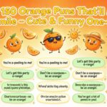 Best 150 Orange Puns That’ll Make You Smile – Cute & Funny One-Liners