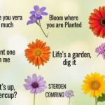 270 Best Flower Puns & Captions That Are Absolutely Not Flower Lyrics